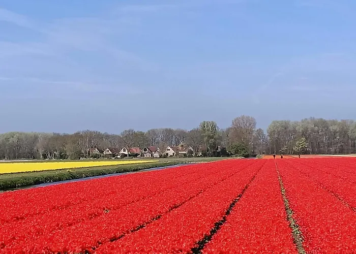 Tapuit 6-2 By Interhome 4* Noordwijk