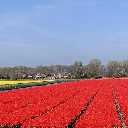 Tapuit 6-2 By Interhome 4* Noordwijk